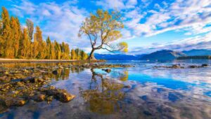 Tour Packages to New Zealand