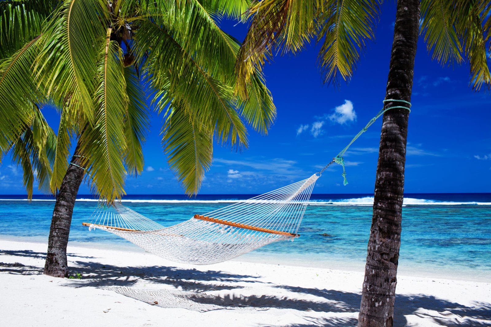 Hammock between palm trees on tropical beach Best Travel Deals