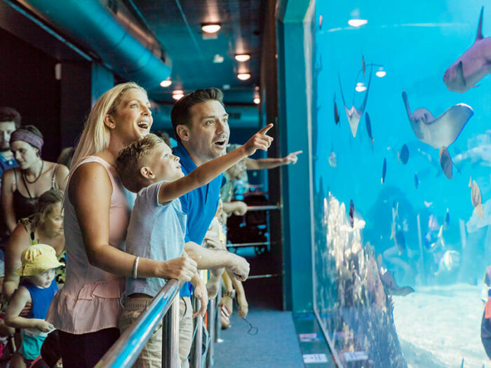 Sea World Resort 4 Nights with Unlimited Theme Park Entry - Image 30