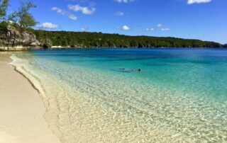 Vanuatu, a Pacific holiday paradise. Photo by Lilyana Zivkovic on Unsplash